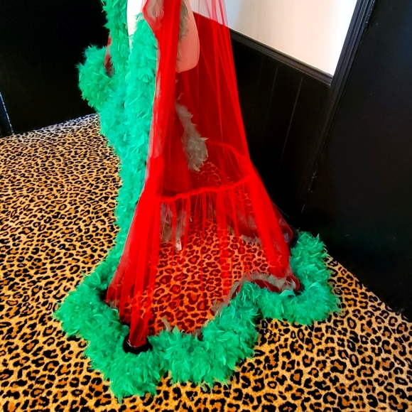 ❤💚Glamorous Tulle Robe💚❤️ - Picture 5 of 8